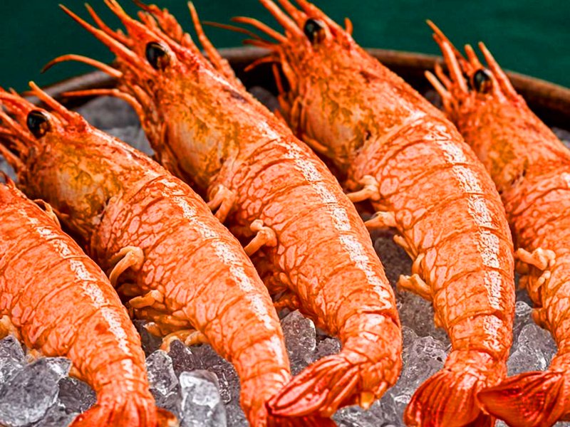 Crevettes royales — Poissonnerie Or